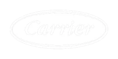 Carrier
